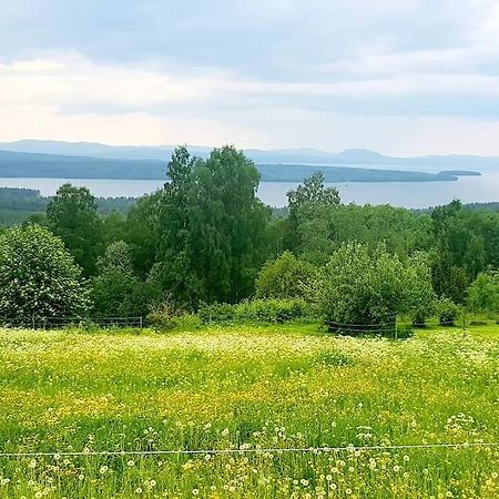 Utsikten -Exklusivt Nybyggt Timmerhus -Plintsberg. Tällberg Extérieur photo
