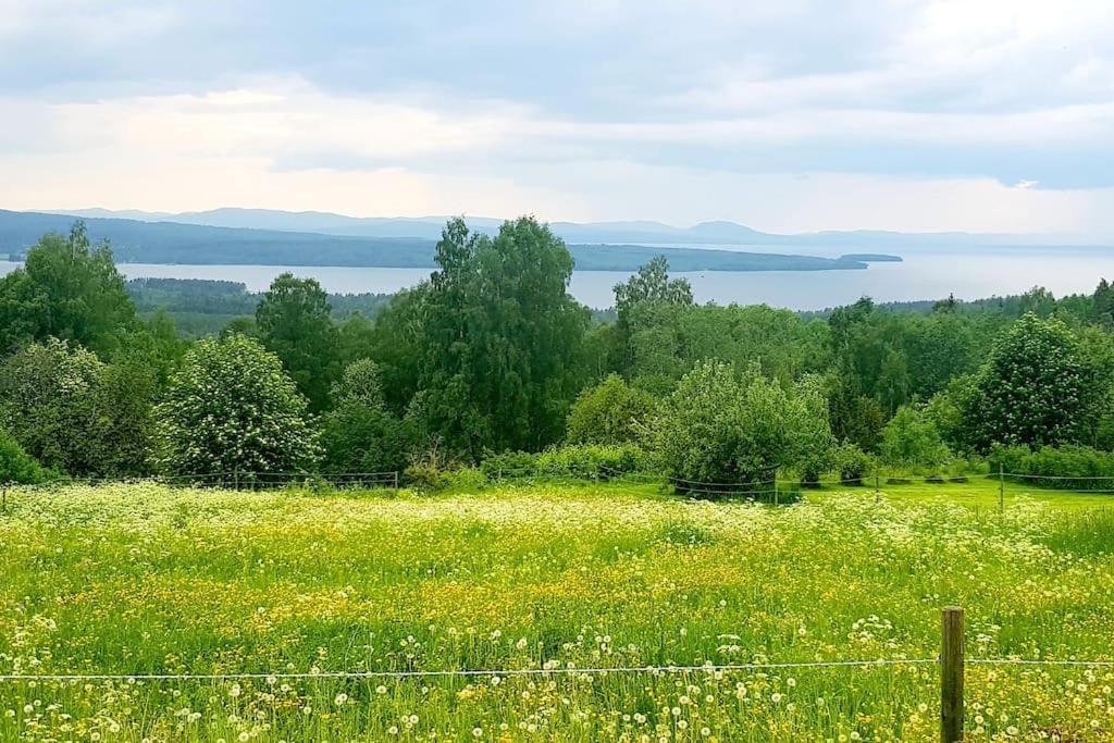 Utsikten -Exklusivt Nybyggt Timmerhus -Plintsberg. Tällberg Extérieur photo