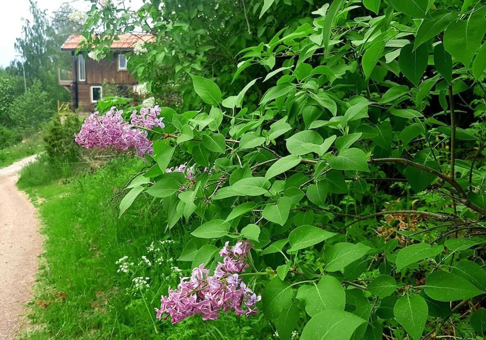 Utsikten -Exklusivt Nybyggt Timmerhus -Plintsberg. Tällberg Extérieur photo